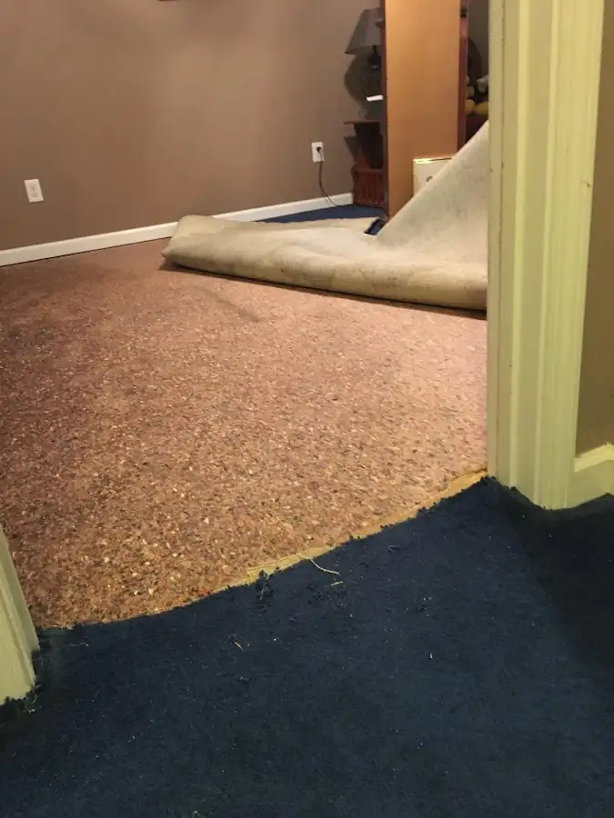 Carpet pad removal revealing water damage during Water Mitigation Services in Quincy