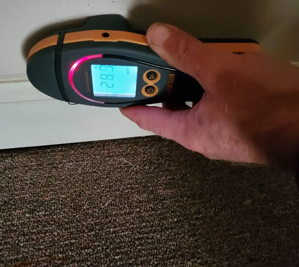 Moisture detection at baseboard during Mold Inspection & Testing in Quincy